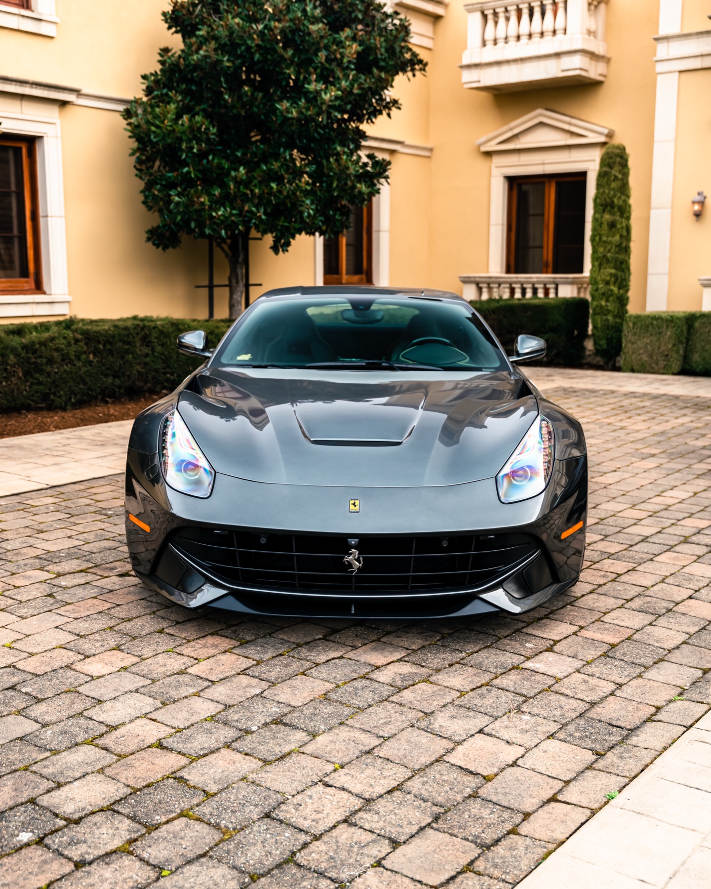 Auto detailing service